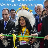 Imagem referente a Brasil inaugura espaço de participação social na COP29