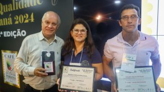 Produtores de Tomazina dominam premiação do Café Qualidade Paraná 2024