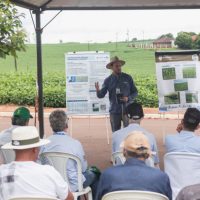 Imagem referente a Giro Técnico na Soja divulgará resultados de boas práticas no Paraná em 12 cidades