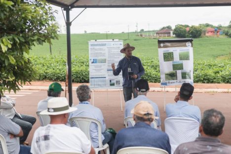 Imagem referente a Giro Técnico na Soja divulgará resultados de boas práticas no Paraná em 12 cidades