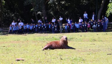 Imagem referente a Crianças conhecem de perto as capivaras do Lago Municipal