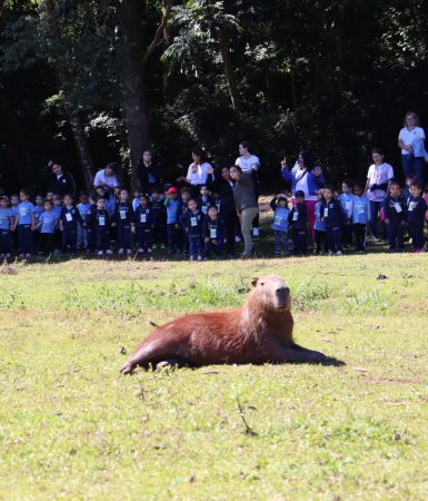 Imagem referente a Crianças conhecem de perto as capivaras do Lago Municipal