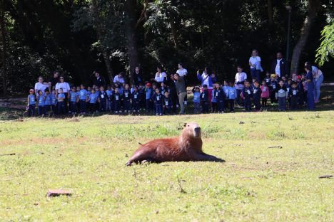 Imagem referente a Crianças conhecem de perto as capivaras do Lago Municipal