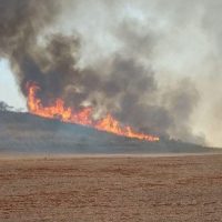 Imagem referente a Brasileiros acham que economia pode ser devastada por eventos do clima