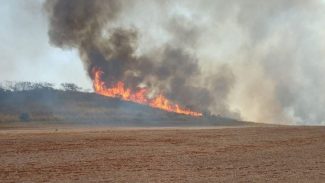 Brasileiros acham que economia pode ser devastada por eventos do clima