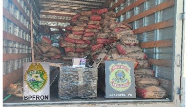 Imagem referente a Polícia Federal e BPFron Apreendem Caminhão com Carga de Cigarros Eletrônicos em Cascavel