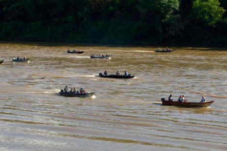 Imagem referente a Nova fase do Rio Vivo começa com a soltura de 100 mil peixes no Rio Ivaí, no Noroeste