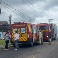 Imagem referente a Mãe e filha são hospitalizadas em estado grave após ataque de abelhas