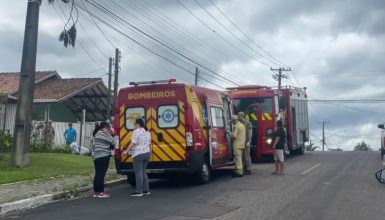 Imagem referente a Mãe e filha são hospitalizadas em estado grave após ataque de abelhas