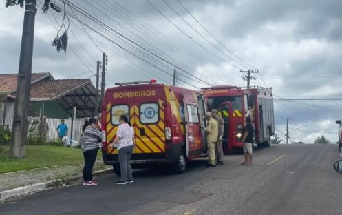 Imagem referente a Mãe e filha são hospitalizadas em estado grave após ataque de abelhas