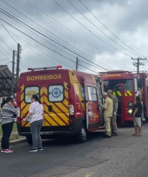 Imagem referente a Mãe e filha são hospitalizadas em estado grave após ataque de abelhas