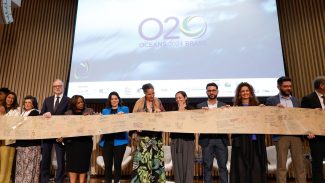 Oceans 20: grupo pede ao G20 gestão sustentável dos oceanos