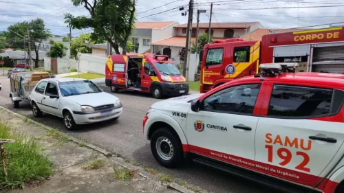 Imagem referente a Mãe e filha ficam em estado grave após ataque de abelhas