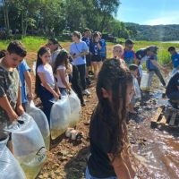 Imagem referente a Dia do Iguaçu: Estado vai soltar 1,3 milhão de peixes nativos no rio que corta o Paraná