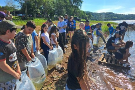 Imagem referente a Dia do Iguaçu: Estado vai soltar 1,3 milhão de peixes nativos no rio que corta o Paraná