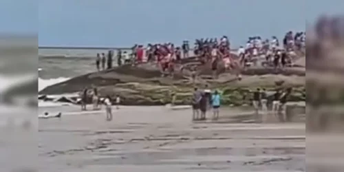 Imagem referente a Paranaense desaparece nas praias de Santa Catarina e resgate é mobilizado