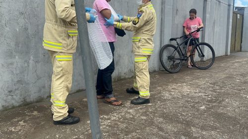 Imagem referente a Ciclista fica ferido ao sofrer queda na Rua Jacarezinho