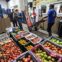 Imagem referente a Ceasas de Curitiba, Londrina e Foz do Iguaçu abrem no feriado desta quarta-feira