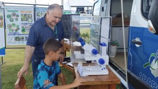 Adapar destaca ações de saúde animal e sanidade vegetal na Expovale 2024