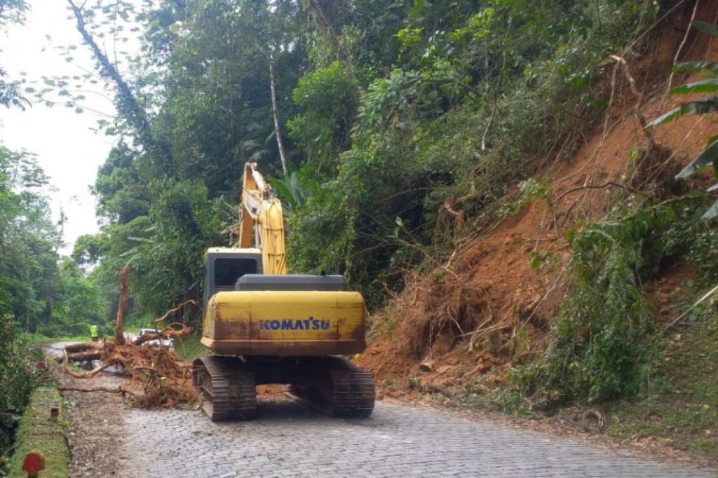 Estrada da Graciosa tem pare-e-siga nesta terça para recuperar local de queda de árvores