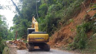 Estrada da Graciosa tem pare-e-siga nesta terça para recuperar local de queda de árvores