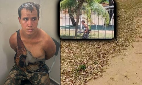 Imagem referente a Filho mata pai, arranca cabeça e a esconde em mochila durante fuga