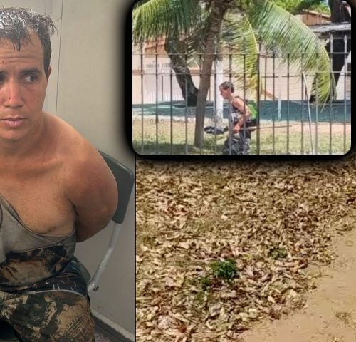 Imagem referente a Filho mata pai, arranca cabeça e a esconde em mochila durante fuga