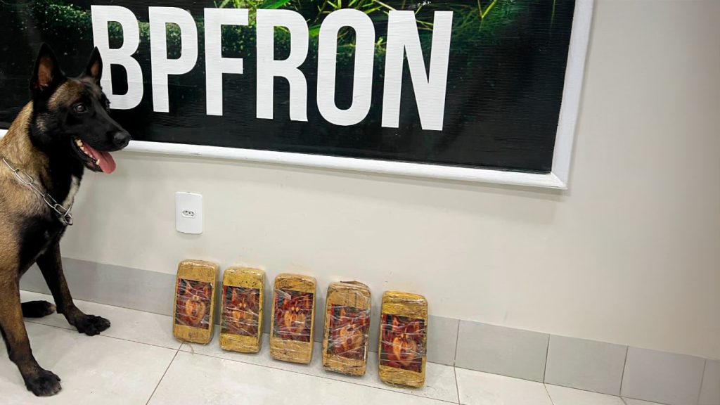 BPFron apreende 5,2 Kg de Crack na Rodoviária de Umuarama