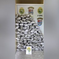 Imagem referente a Dupla é detida na BR-277 com mais de 100 quilos de capulho de maconha