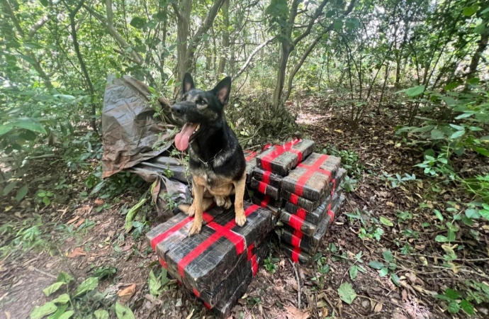 BPFron apreende 300 kg de maconha em Santa Helena