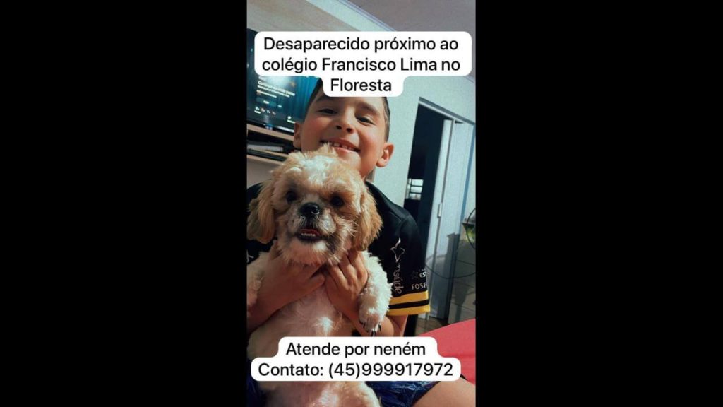 Cachorro Nenem desapareceu no bairro Floresta