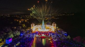 Maior Natal gratuito do Brasil estreia nesta sexta-feira e aquece turismo em Curitiba