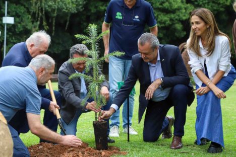 Imagem referente a MON se transforma na casa da “muda 10 milhões” do programa Paraná Mais Verde