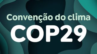 Jovens do Sul Global ganham voz ao terem delegação na COP 29