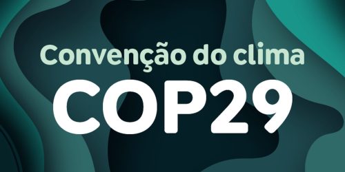 Imagem referente a Jovens do Sul Global ganham voz ao terem delegação na COP 29