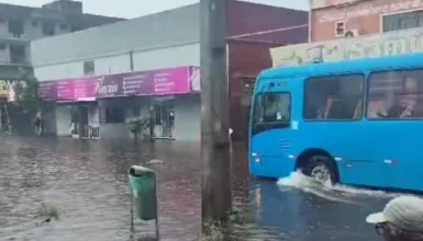 Imagem referente a Chuva de 80mm causa estragos em Foz do Iguaçu: árvores caem e muro desaba!