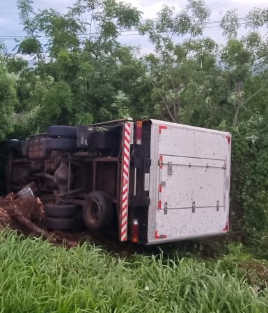 Imagem referente a Caminhão tomba às margens da rodovia BR-369 em Cascavel