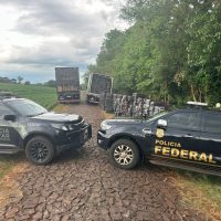 Imagem referente a Policiais federais apreendem 700 caixas de cigarros contrabandeados em Itaipulândia