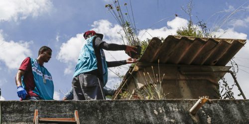 Imagem referente a DF promove dia de combate à dengue para eliminar focos do Aedes aegypt