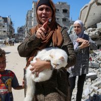 Imagem referente a Israel ordena saída de moradores de subúrbios de Gaza