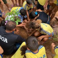 Imagem referente a Com plantio de 6,8 mil mudas, Estado supera em 37% meta para Semana do Rio