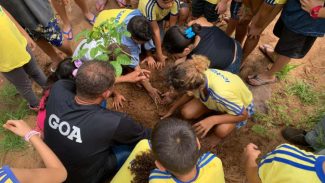 Com plantio de 6,8 mil mudas, Estado supera em 37% meta para Semana do Rio