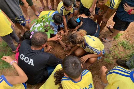 Imagem referente a Com plantio de 6,8 mil mudas, Estado supera em 37% meta para Semana do Rio