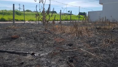 Imagem referente a Bombeiros combatem incêndio no Brasmadeira