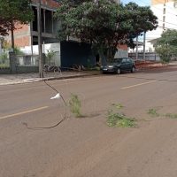 Imagem referente a Atenção! Fios caídos na rua da Bandeira em Cascavel