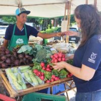 Imagem referente a Sanepar abriga feira de produtos sustentáveis colhidos na Bacia do Miringuava