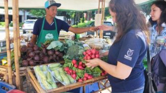 Sanepar abriga feira de produtos sustentáveis colhidos na Bacia do Miringuava