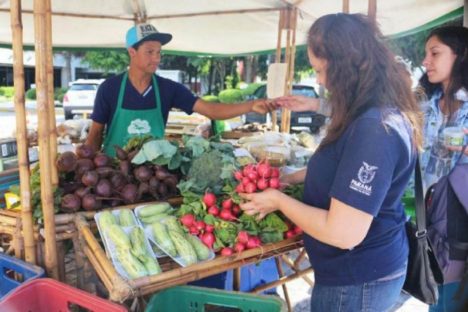 Imagem referente a Sanepar abriga feira de produtos sustentáveis colhidos na Bacia do Miringuava