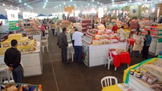 Começa nesta quinta a Feira Sabores do Paraná com produtos da agricultura familiar