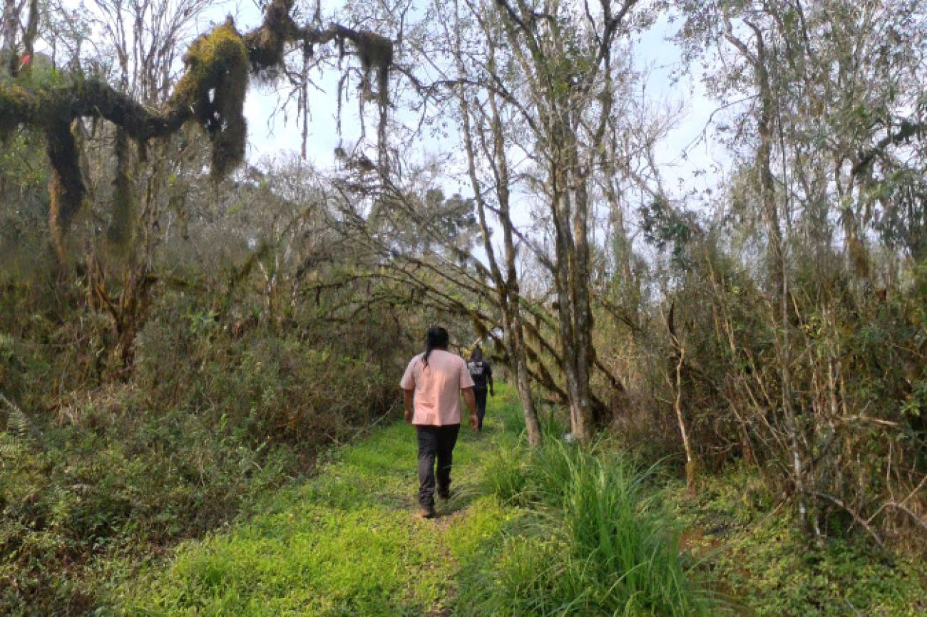 Decreto que institui Rota dos Caminhos do Peabiru fortalece potencial turístico da rede de trilhas Decreto que institui Rota dos Caminhos do Peabiru fortalece potencial turístico da rede de trilhas